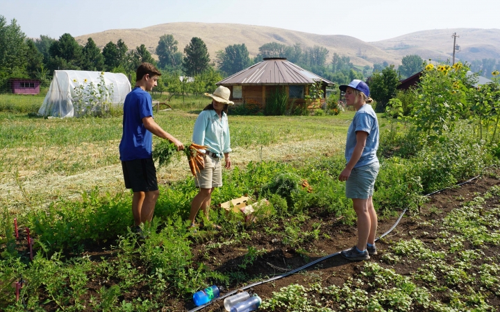 Three people work in a garden during a service project.